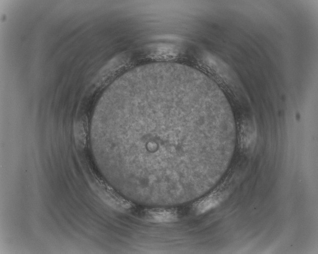 X0000084560370200703021429