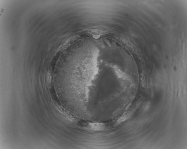 X0000084560371200703021429