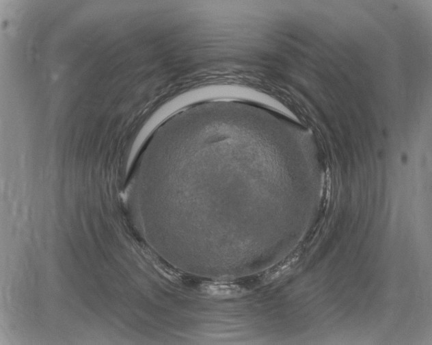 X0000084560372200703021429