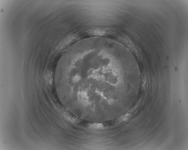 X0000084560374200703021430