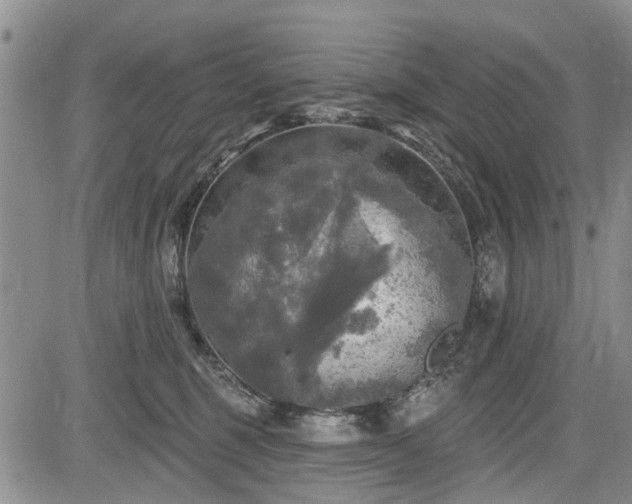 X0000084560375200703021430