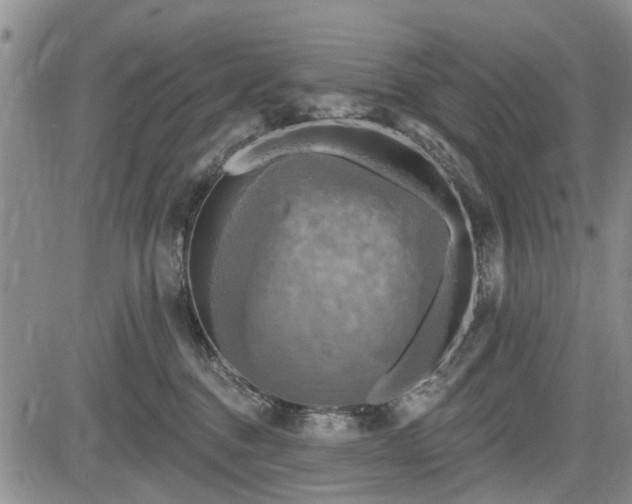 X0000084560376200703021430