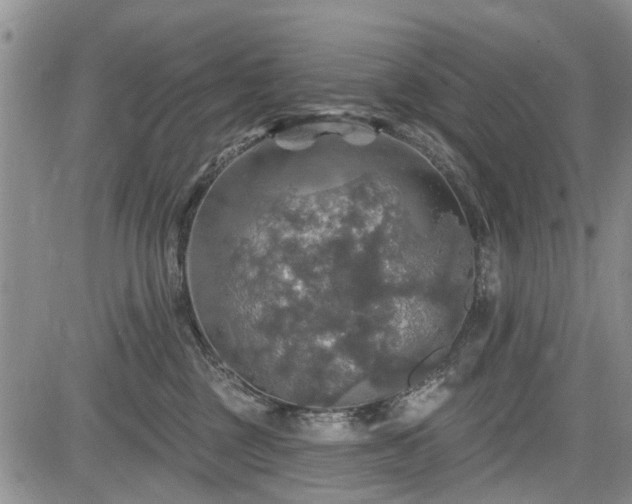 X0000084560377200703021430