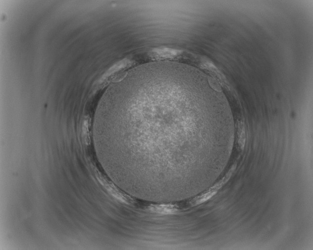 X0000084560378200703021430