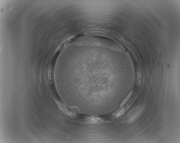 X0000084560379200703021430