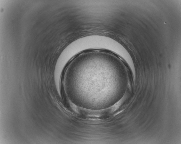 X0000084560380200703021430