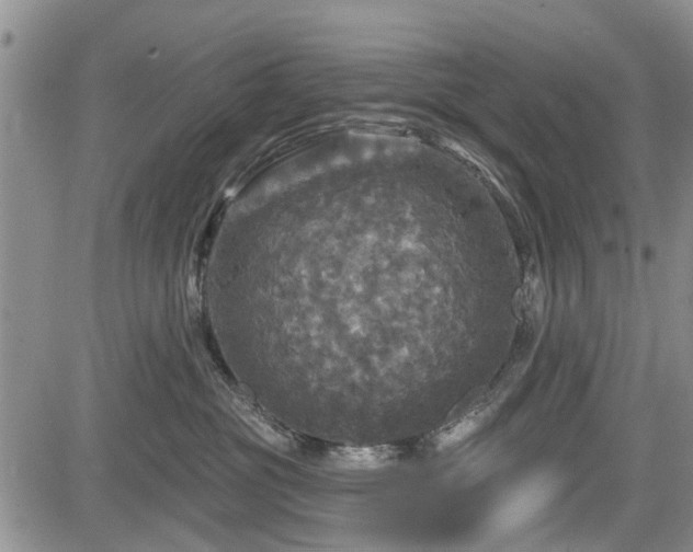 X0000084560381200703021430