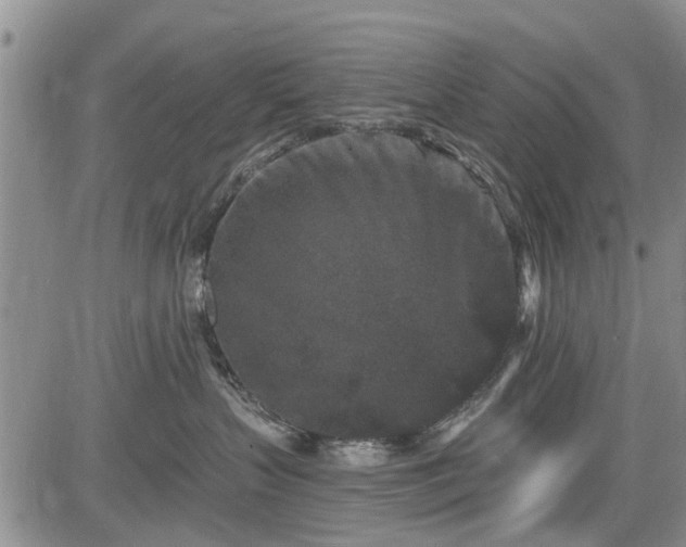 X0000084560383200703021430