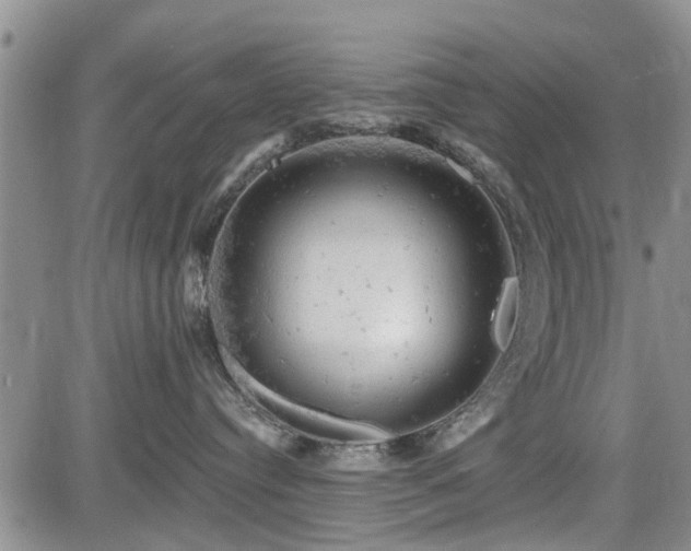 X0000084560384200703021430