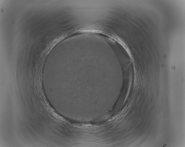 X0000084560385200703021429