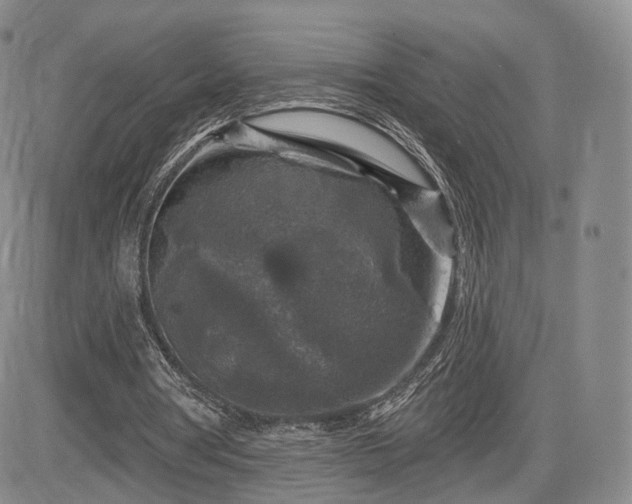 X0000084560386200703021429