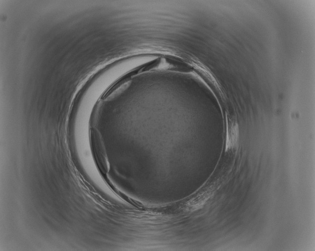 X0000084560387200703021429