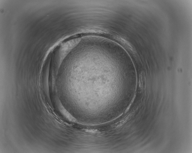 X0000084560388200703021429