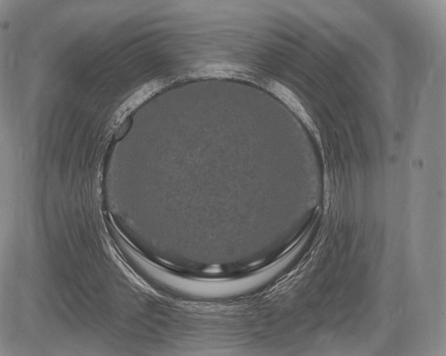 X0000084560389200703021429