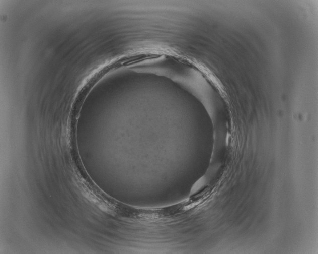 X0000084560391200703021429