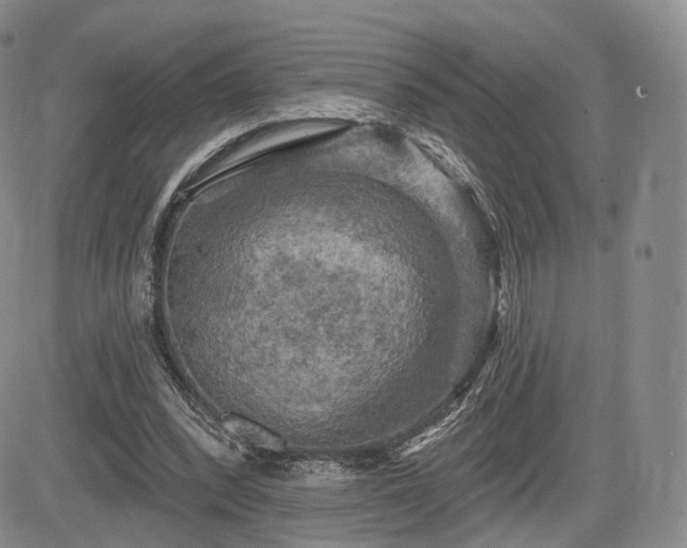 X0000084560392200703021429