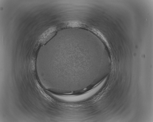 X0000084560393200703021429