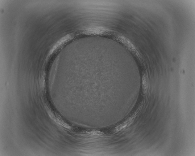 X0000084560396200703021429