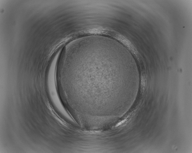 X0000084560397200703021429