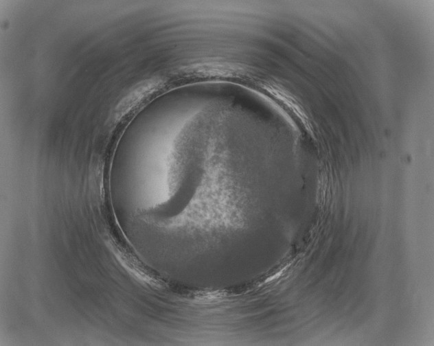 X0000084560398200703021429