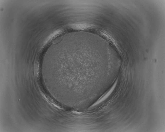 X0000084560400200703021429