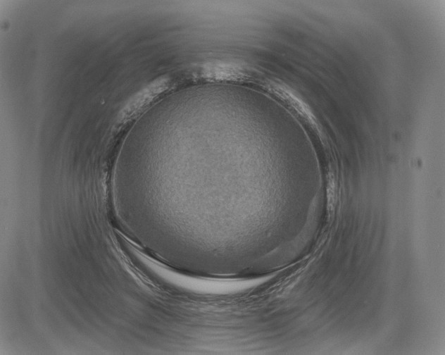 X0000084560401200703021429