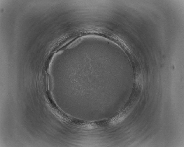 X0000084560402200703021429