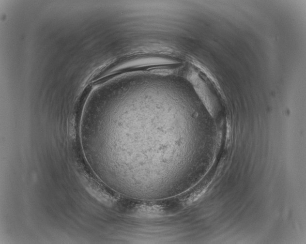 X0000084560403200703021429