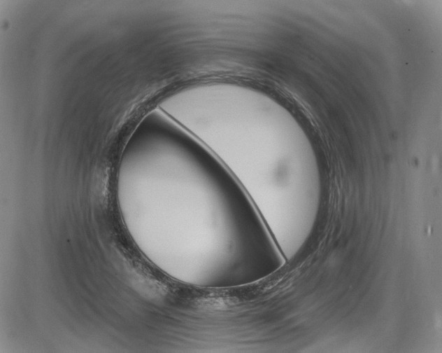 X0000084560404200703021429