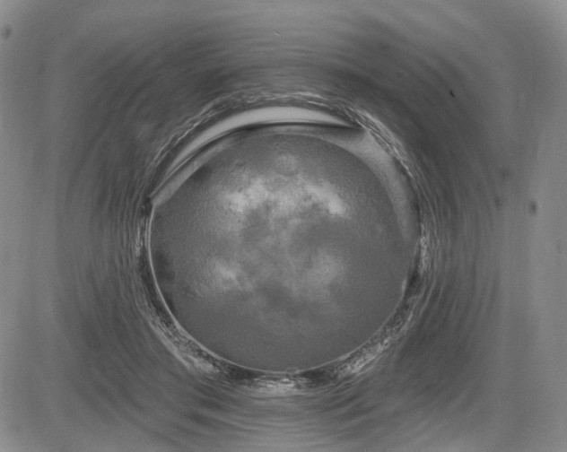 X0000084560405200703021429