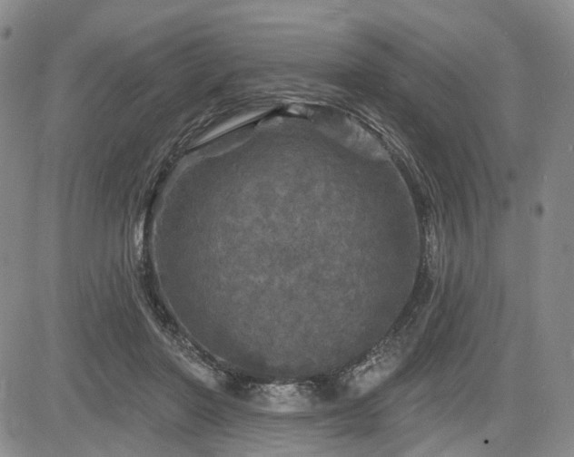 X0000084560406200703021429