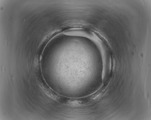 X0000084560407200703021429