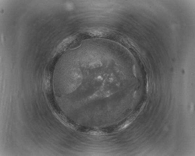 X0000084560408200703021428