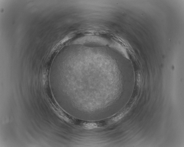 X0000084560409200703021428