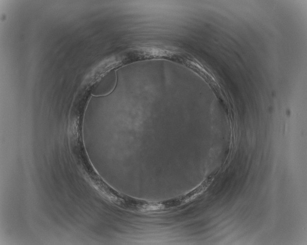 X0000084560410200703021428