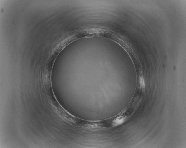 X0000084560411200703021428