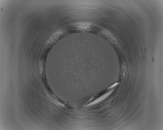 X0000084560412200703021428