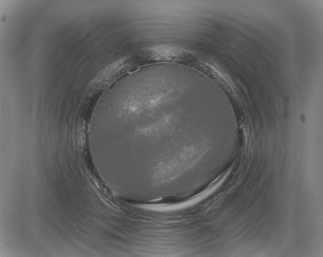 X0000084560413200703021428