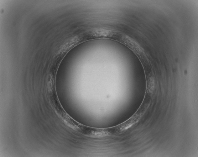 X0000084560414200703021428