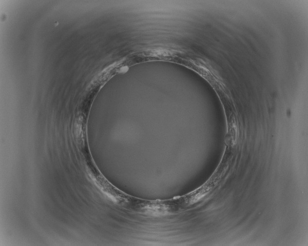 X0000084560415200703021428