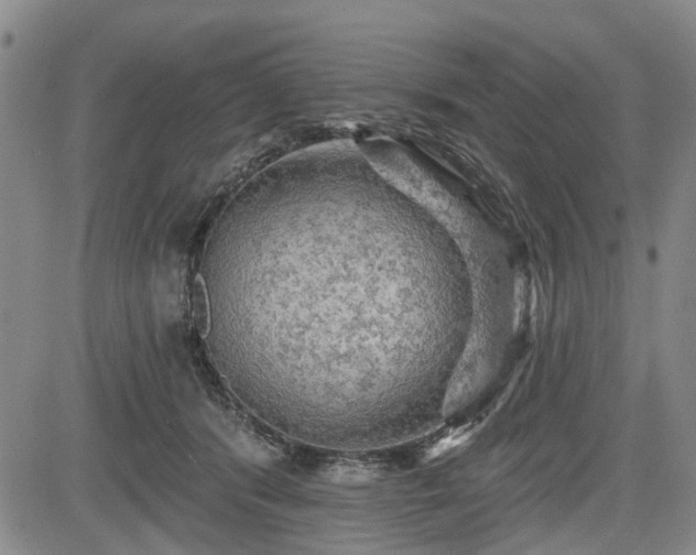 X0000084560416200703021428