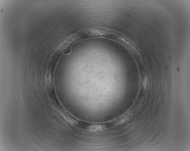 X0000084560418200703021428