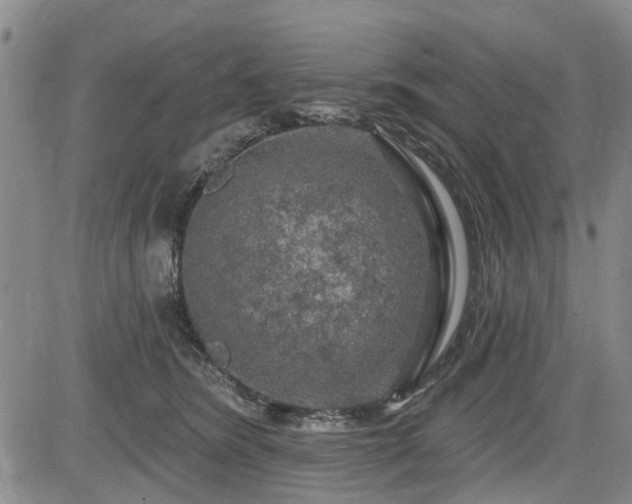 X0000084560420200703021428