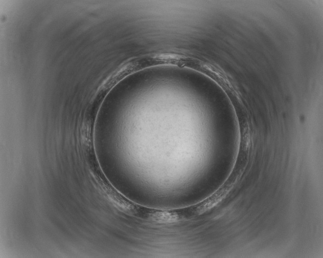 X0000084560421200703021428