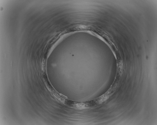 X0000084560423200703021428