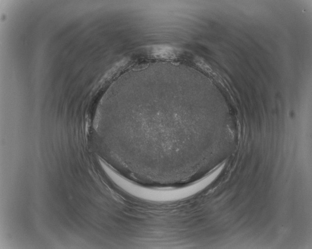 X0000084560424200703021428