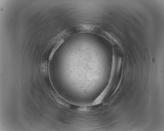 X0000084560425200703021428