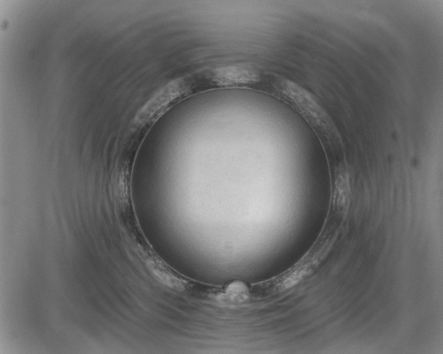 X0000084560426200703021428