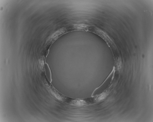 X0000084560427200703021428