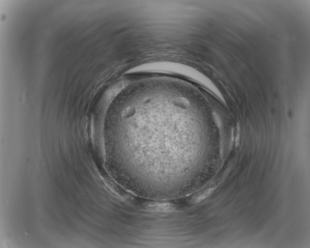 X0000084560428200703021428